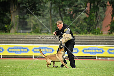 Stylish Motion`s Apple